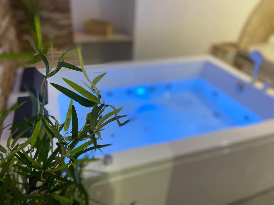 Lover Dose Spa Vierzon Exterior foto